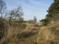 NL, Noord-Brabant, Bergeijk, Zwarte Horstweijer 11, Saxifraga-Jan van der Straaten