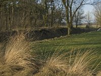 NL, Noord-Brabant, Bergeijk, Zwarte Horstweijer 13, Saxifraga-Jan van der Straaten