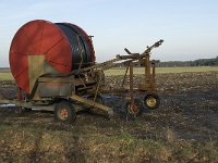 NL, Noord-Brabant, Bergeijk, Zwarte Horstweijer 16, Saxifraga-Jan van der Straaten