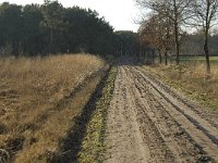 NL, Noord-Brabant, Bergeijk, Zwarte Horstweijer 2, Saxifraga-Jan van der Straaten