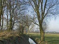 NL, Noord-Brabant, Bergeijk, Zwarte Horstweijer 4, Saxifraga-Jan van der Straaten