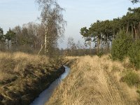 NL, Noord-Brabant, Bergeijk, Zwarte Horstweijer 9, Saxifraga-Jan van der Straaten