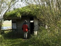 NL, Noord-Brabant, Bergen op Zoom, Hildernisse 6, Saxifraga-Jan van der Straaten