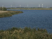 NL, Noord-Brabant, Bergen op Zoom, Zoommeer 4, Saxifraga-Jan van der Straaten