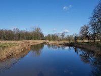 NL, Noord-Brabant, Bladel, Beersbroek 14, Saxifraga-Tom Heijnen