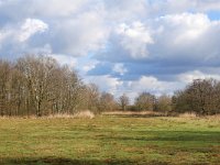 NL, Noord-Brabant, Bladel, Beersbroek 16, Saxifraga-Tom Heijnen