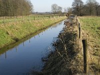 NL, Noord-Brabant, Bladel, Beerze, Westelbeersche Broek 4, Saxifraga-Jan van der Straaten