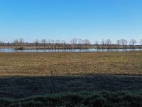 NL, Noord-Brabant, Bladel, Nieuwe Erven (nieuwe natuur) 1, Saxifraga-Tom Heijnen