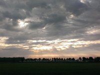 NL, Noord-Brabant, Bladel, near Hoogeloon 1, Saxifraga-Tom Heijnen