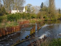 NL, Noord-Brabant, Boxtel 8, Saxifraga-Jan van der Straaten