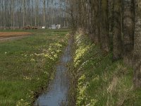 NL, Noord-Brabant, Boxtel, Bundersdijk 8, Saxifraga-Willem van Kruijsbergen