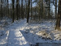 NL, Noord-Brabant, Boxtel, De Geelders 5, Saxifraga-Jan van der Straaten