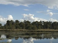 NL, Noord-Brabant, Boxtel, Flessenven 4, Saxifraga-Jan van der Straaten