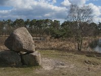 NL, Noord-Brabant, Boxtel, Graf van Van Tienhoven 2, Saxifraga-Jan van der Straaten