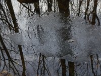 NL, Noord-Brabant, Boxtel, Het Speet 20, Saxifraga-Jan van der Straaten