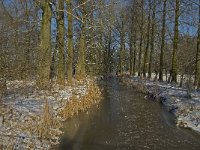 NL, Noord-Brabant, Boxtel, Kampina, Beerze 7, Saxifraga-Marijke Verhagen