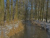 NL, Noord-Brabant, Boxtel, Kampina, Beerze 8, Saxifraga-Marijke Verhagen