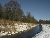 NL, Noord-Brabant, Boxtel, Kampina, Heiloop 4, Saxifraga-Marijke Verhagen