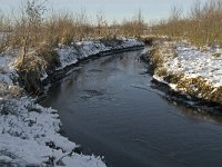 NL, Noord-Brabant, Boxtel, Smalwater 10, Saxifraga-Jan van der Straaten