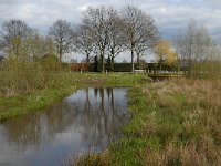 NL, Noord-Brabant, Boxtel, Smalwater 6, Saxifraga-Jan van der Straaten