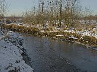 NL, Noord-Brabant, Boxtel, Smalwater 9, Saxifraga-Jan van der Straaten