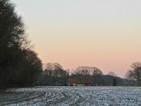 NL, Noord-Brabant, Boxtel, near Heult 2, Saxifraga-Tom Heijnen