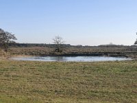 NL, Noord-Brabant, Cranendonck, Gastelsche Heide (Oude Strijper Aa) 1, Saxifraga-Tom Heijnen