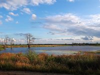 NL, Noord-Brabant, Cranendonck, Gastelsche Heide (Oude Strijper Aa) 19, Saxifraga-Tom Heijnen