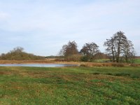 NL, Noord-Brabant, Cranendonck, Gastelsche Heide (Oude Strijper Aa) 2, Saxifraga-Tom Heijnen