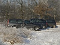 NL, Noord-Brabant, Cranendonck, Groote Heide 9, Saxifraga-Jan van der Straaten