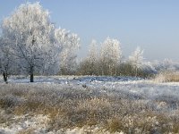 NL, Noord-Brabant, Cranendonck, Soerendonks Goor 16, Saxifraga-Marijke Verhagen