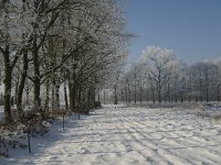 NL, Noord-Brabant, Cranendonck, Soerendonks Goor 17, Saxifraga-Marijke Verhagen