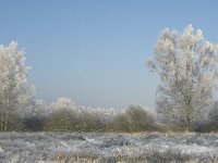 NL, Noord-Brabant, Cranendonck, Soerendonks Goor 19, Saxifraga-Marijke Verhagen