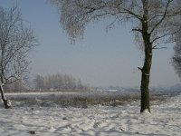 NL, Noord-Brabant, Cranendonck, Soerendonks Goor 20, Saxifraga-Marijke Verhagen