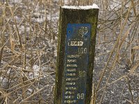 NL, Noord-Brabant, Cranendonck, Soerendonks Goor 23, Saxifraga-Jan van der Straaten