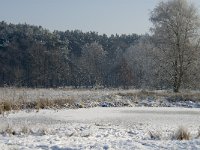 NL, Noord-Brabant, Cranendonck, Soerendonks Goor 3, Saxifraga-Marijke Verhagen