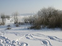 NL, Noord-Brabant, Cranendonck, Soerendonks Goor 32, Saxifraga-Marijke Verhagen