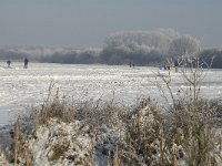 NL, Noord-Brabant, Cranendonck, Soerendonks Goor 5, Saxifraga-Marijke Verhagen