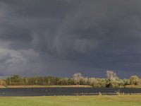 NL, Noord-Brabant, Cranendonck, Soerendonks Goor 5, Saxifraga-Tom Heijnen