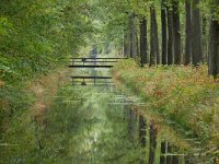 NL, Noord-Brabant, Cranendonck, Sterkselsch Kanaal in Landgoed De Pan 2, Saxifraga-Tom Heijnen