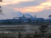 NL, Noord-Brabant, Cranendonck, Zinkfabriek 1, Saxifraga-Tom Heijnen