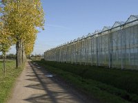 NL, Noord-Brabant, Dongen, Ruiterbaan 3, Saxifraga-Jan van der Straaten