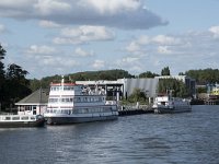 NL, Noord-Brabant, Drimmelen 5, Saxifraga-Willem van Kruijsbergen