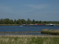 NL, Noord-Brabant, Drimmelen, Amer 11, Saxifraga-Marijke Verhagen