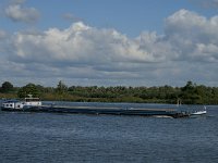 NL, Noord-Brabant, Drimmelen, Amer 22, Saxifraga-Jan van der Straaten