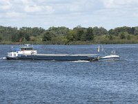 NL, Noord-Brabant, Drimmelen, Amer 42, Saxifraga-Willem van Kruijsbergen