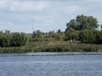 NL, Noord-Brabant, Drimmelen, Amer 44, Saxifraga-Willem van Kruijsbergen