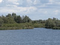 NL, Noord-Brabant, Drimmelen, Amer 59, Saxifraga-Willem van Kruijsbergen