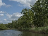 NL, Noord-Brabant, Drimmelen, Buiten Kooigat 10, Saxifraga-Jan van der Straaten