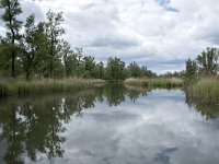 NL, Noord-Brabant, Drimmelen, Buiten Kooigat 38, Saxifraga-Willem van Kruijsbergen